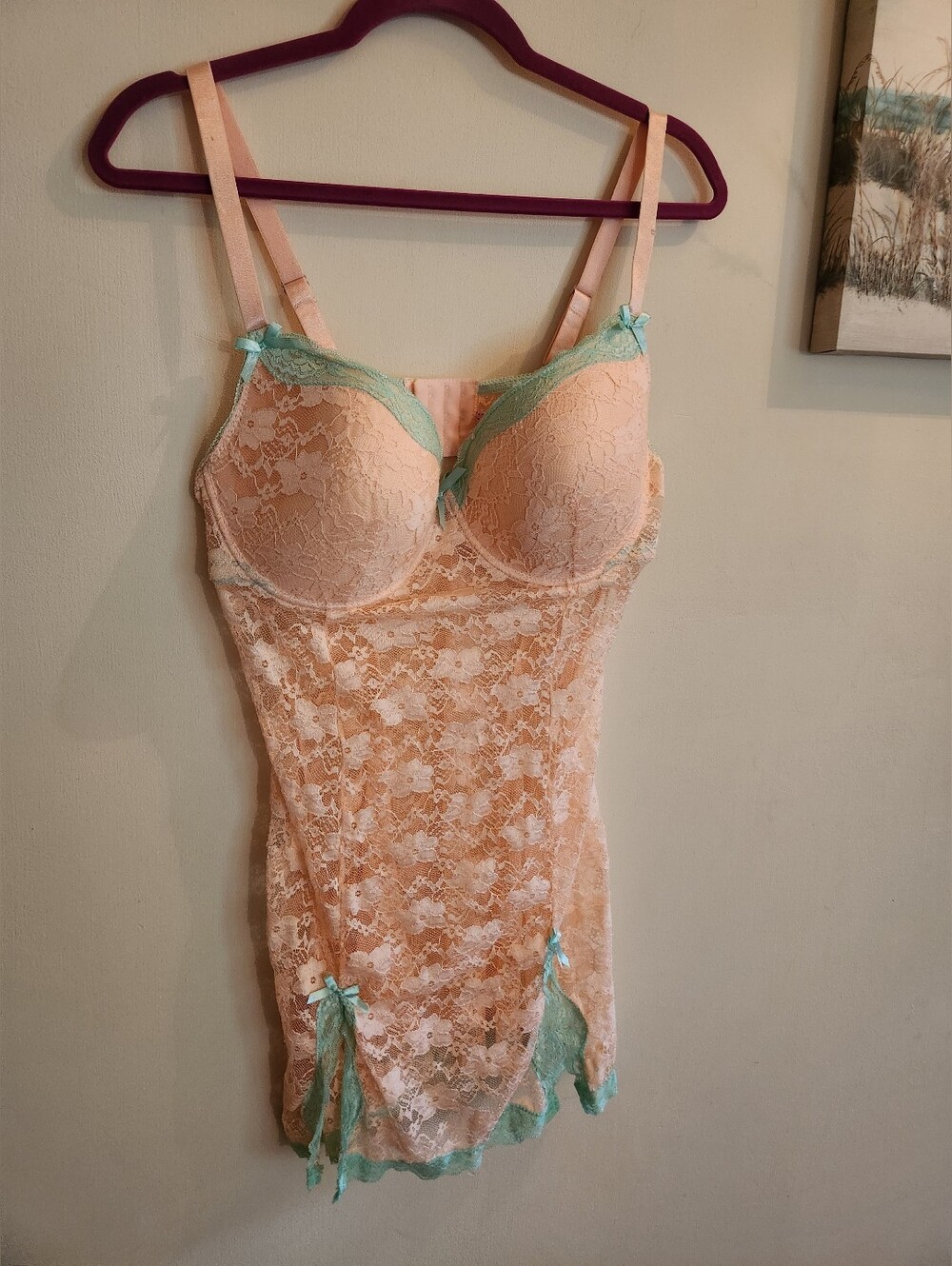 Native Lingerie Dress Peach Color 40D